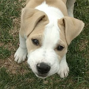 Meet your Posher, Kyla